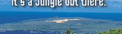 www.traveljungle.co.uk
